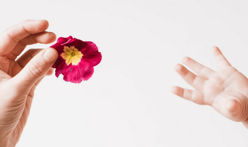 Baby greift nach Blume